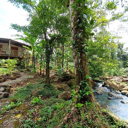 Cabana Vista Rio Celeste エクステリア 写真