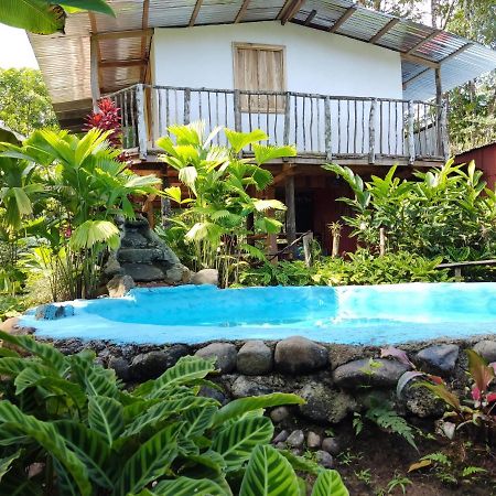 Cabana Vista Rio Celeste エクステリア 写真
