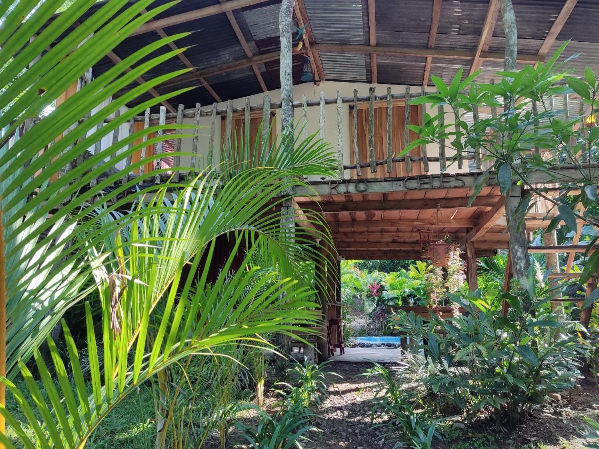 Cabana Vista Rio Celeste エクステリア 写真