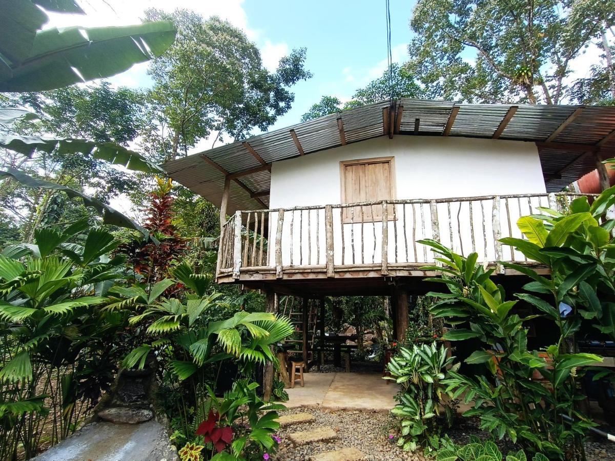 Cabana Vista Rio Celeste エクステリア 写真