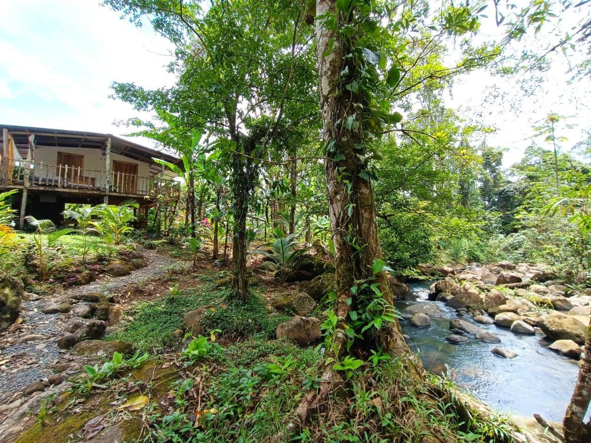 Cabana Vista Rio Celeste エクステリア 写真