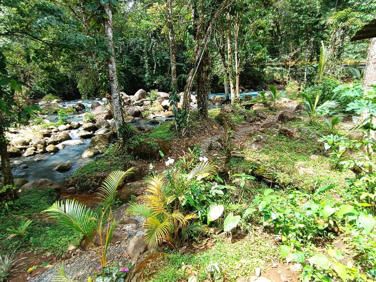 Cabana Vista Rio Celeste エクステリア 写真