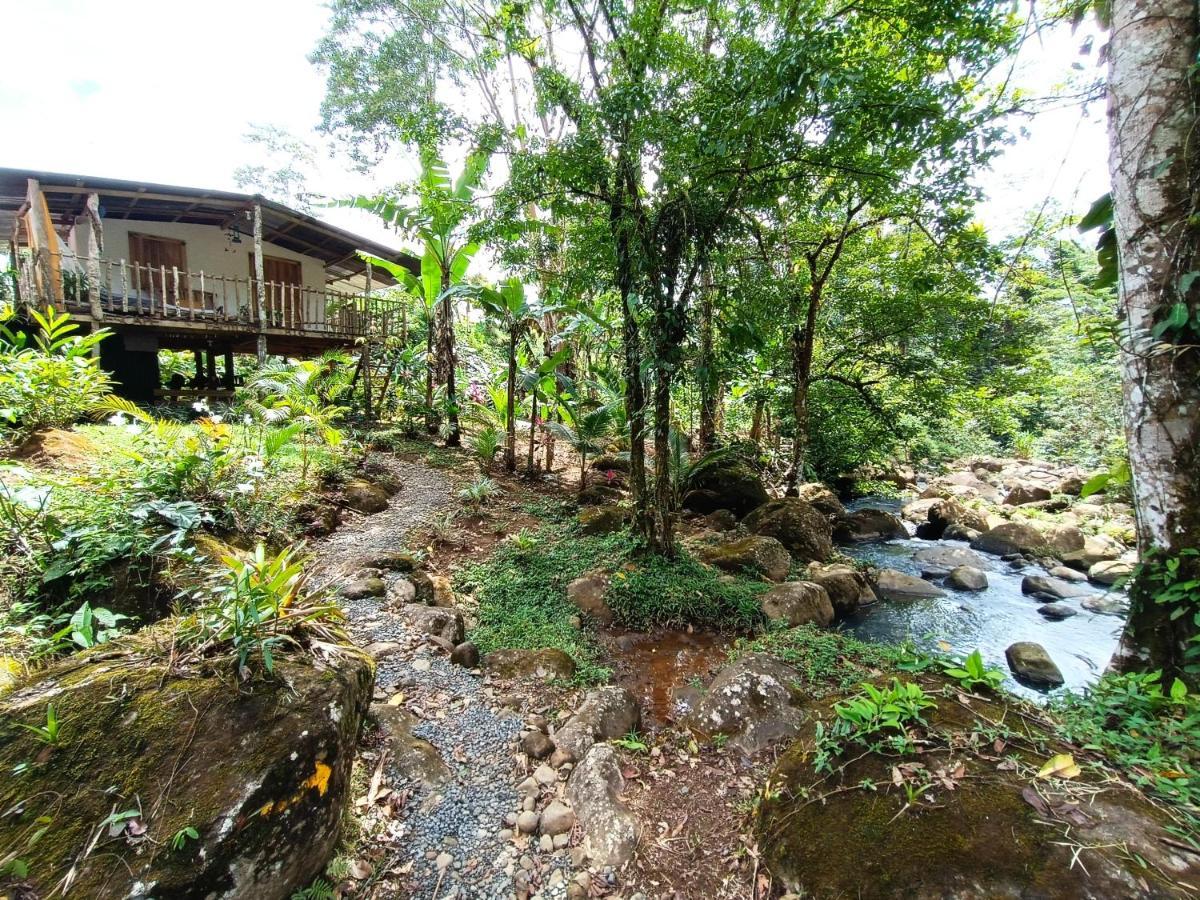 Cabana Vista Rio Celeste エクステリア 写真