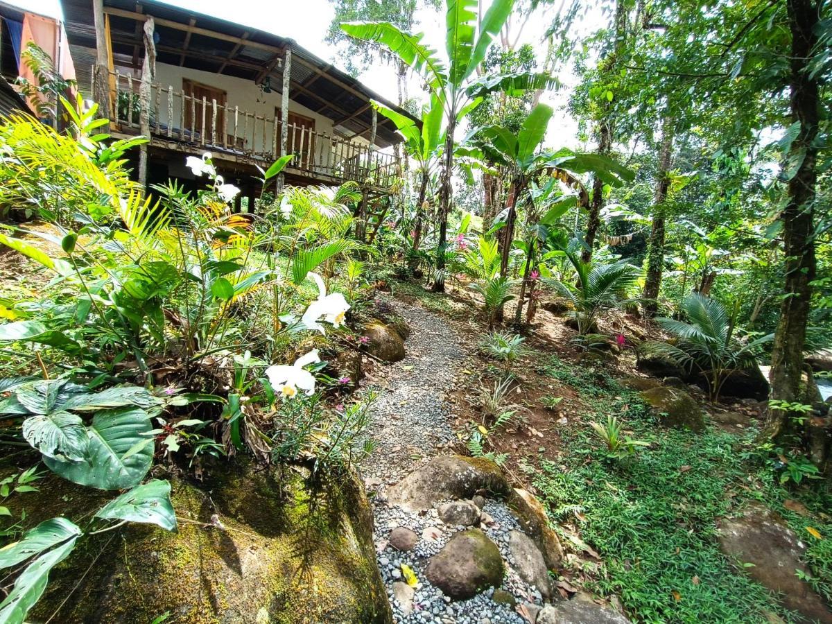 Cabana Vista Rio Celeste エクステリア 写真