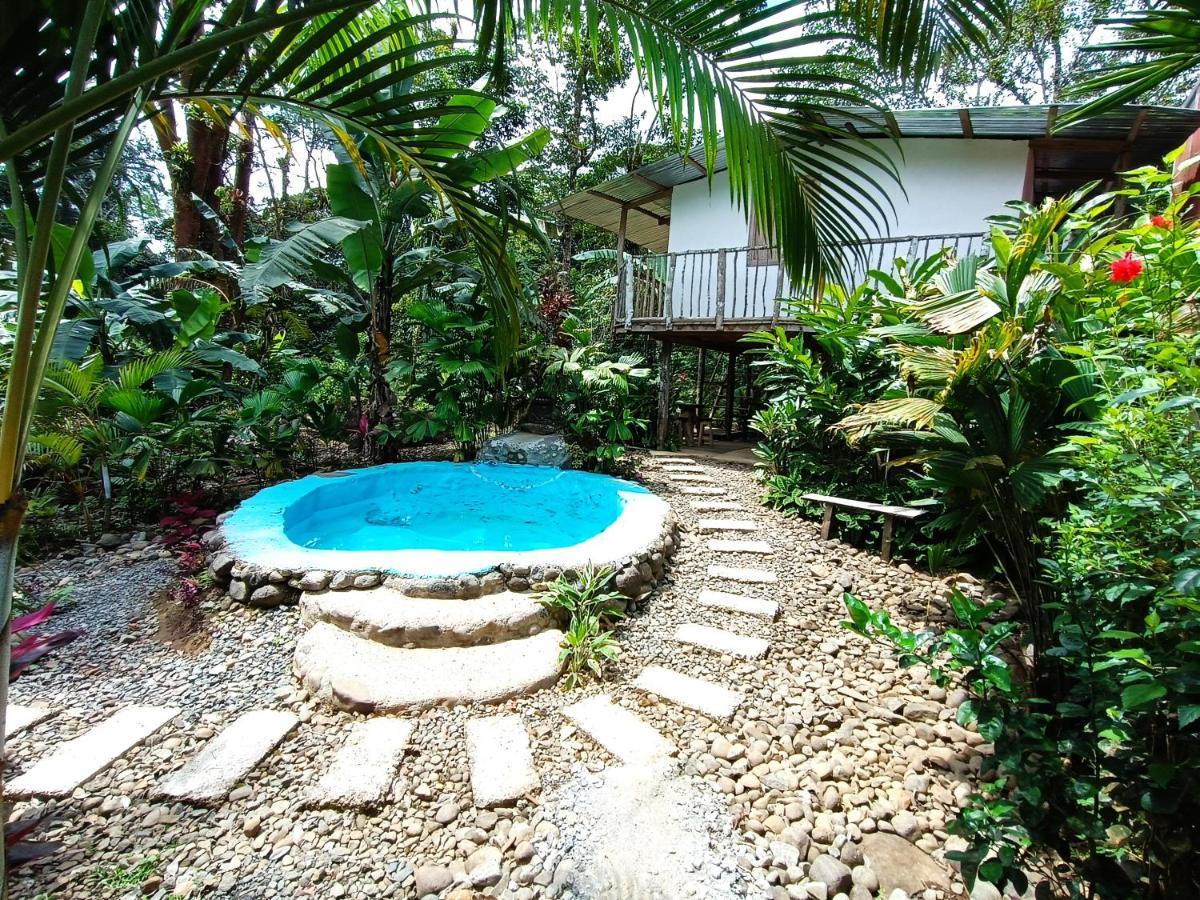 Cabana Vista Rio Celeste エクステリア 写真