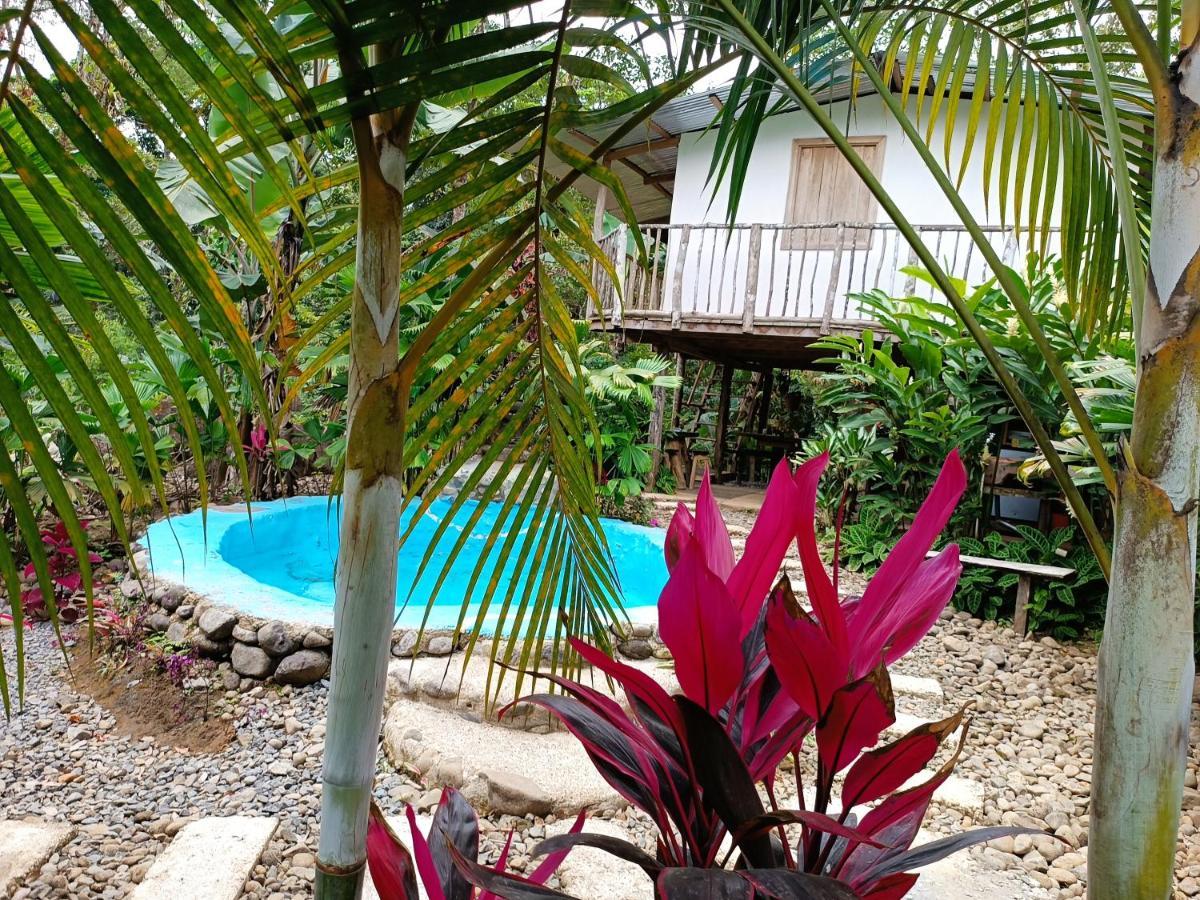 Cabana Vista Rio Celeste エクステリア 写真