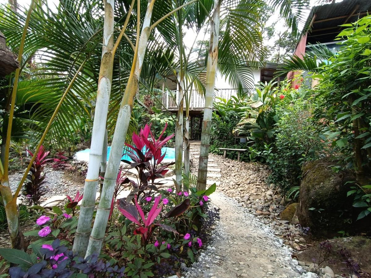 Cabana Vista Rio Celeste エクステリア 写真