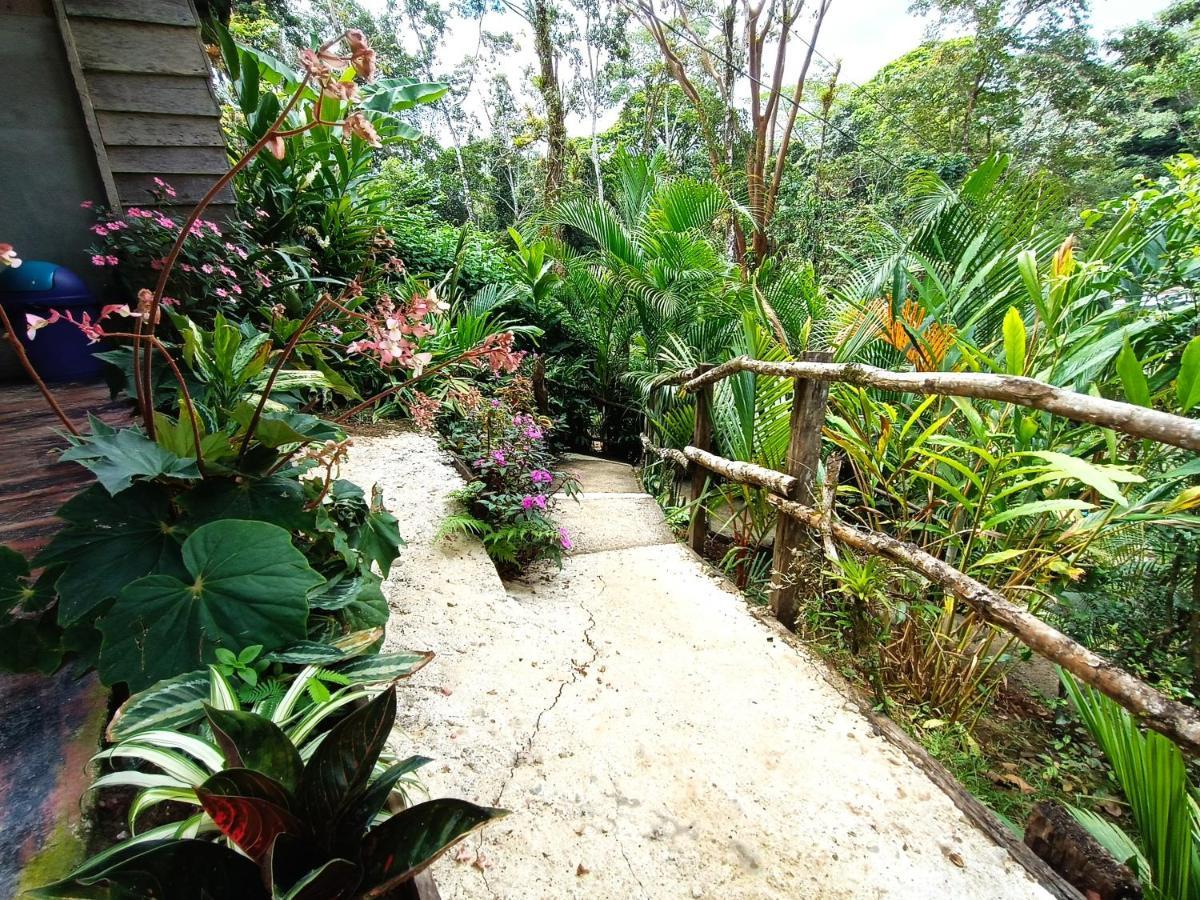 Cabana Vista Rio Celeste エクステリア 写真