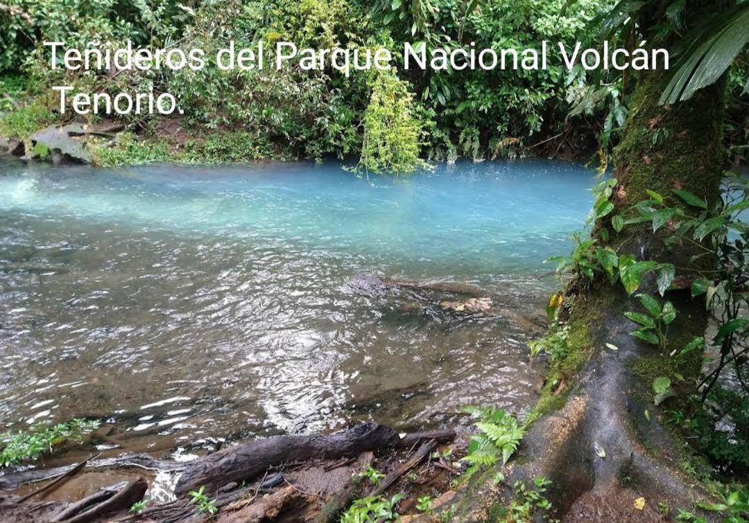 Cabana Vista Rio Celeste エクステリア 写真